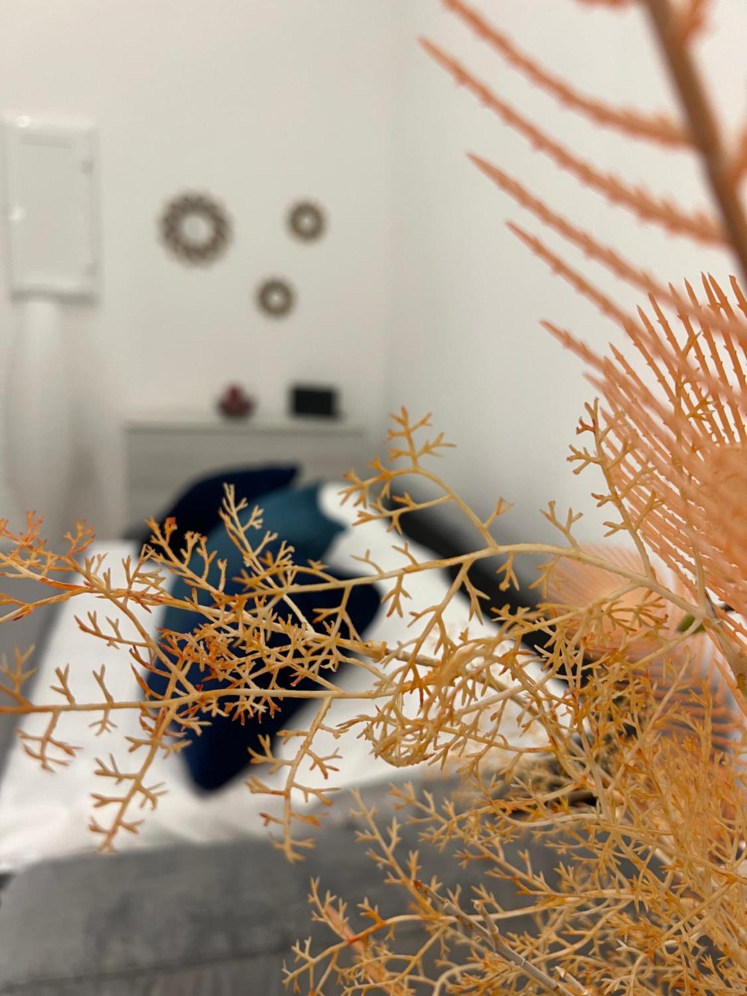 Che Casa Appartement Napels Buitenkant foto